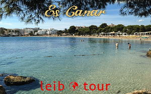es canar - LeibTour: TOP aparthotels in Ibiza