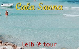 cala saona LEIBTOUR - LeibTour: TOP aparthotels in Ibiza