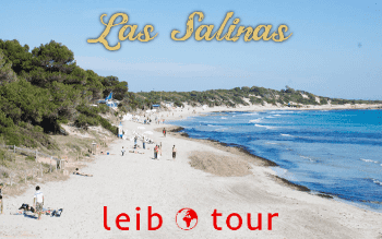 salinas 1 - LeibTour: TOP aparthotels in Ibiza